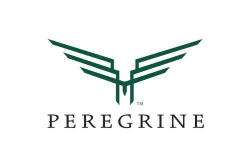 peregrine