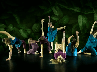 wellspring dance company