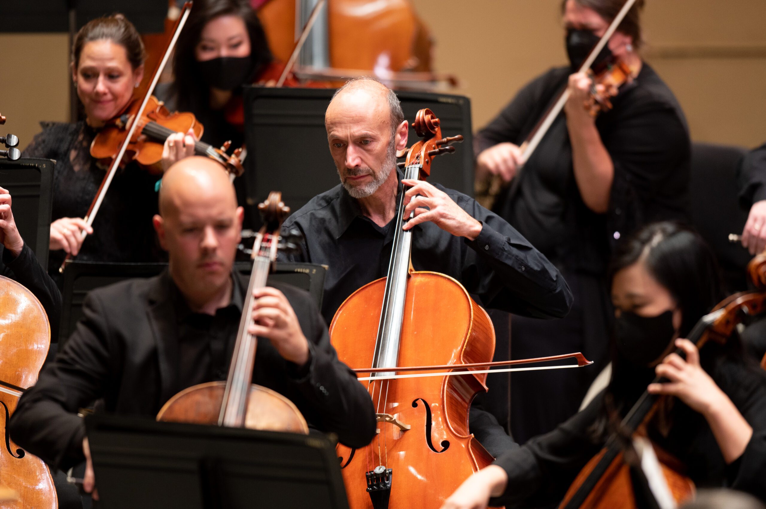 cellist calin muresan