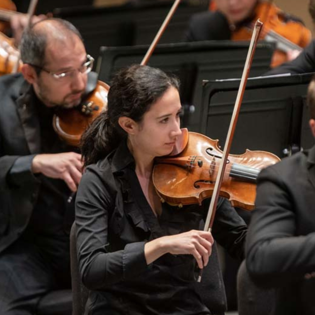 kso violinist marley haller