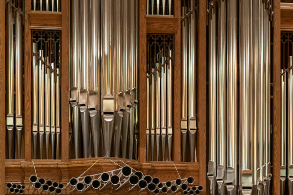 organ pipes